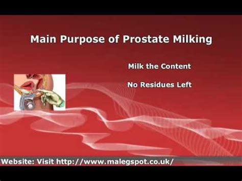 prostate milking|cums from prostate milking Search